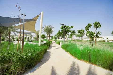 Central and Sakany Park landscape project