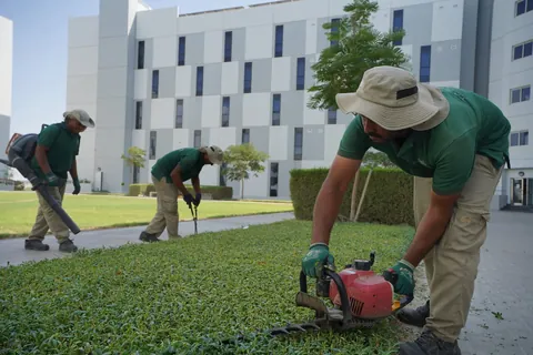 Maintenance